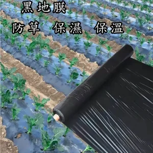 高雄出貨 防草布 農地膜 黑地膜 加厚抗老化 塑膠薄膜 除草保溫防草 地膜 果園農用地膜 蔬菜塑料薄膜加厚保溫