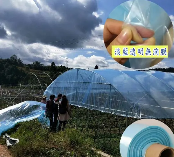 16S 寬3米長20米 防水布無滴膜 溫室大棚種植膜 加厚大棚黑白膜 塑膠膜塑膠布加厚透明養殖 家具防塵:圖片 5