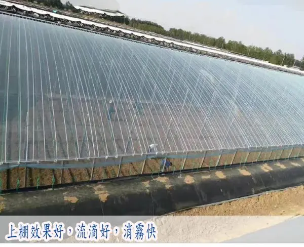 16S 寬3米長20米 防水布無滴膜 溫室大棚種植膜 加厚大棚黑白膜 塑膠膜塑膠布加厚透明養殖 家具防塵:圖片 6