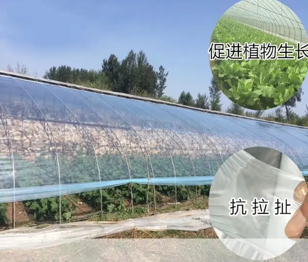 16S 寬3米長20米 防水布無滴膜 溫室大棚種植膜 加厚大棚黑白膜 塑膠膜塑膠布加厚透明養殖 家具防塵:圖片 8