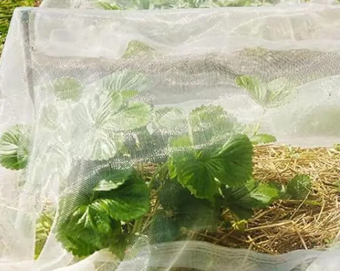 1米*1米(含立體網)多功能有機蔬果網室棚 防蟲防鳥網室 陽台 屋頂 寵物籠 雞籠 塑鋼支架 溫室棚:圖片 7