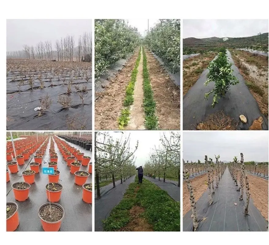 普通款 除草布 2米*50米 抑草蓆 物理性防雜草(抑草) 透水黑布 刈草蓆 園藝地布 透水防草布 果樹果園防草(可不使用農藥):圖片 7