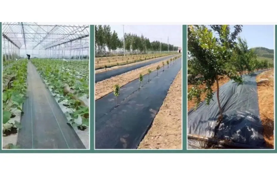 普通款 除草布 2米*50米 抑草蓆 物理性防雜草(抑草) 透水黑布 刈草蓆 園藝地布 透水防草布 果樹果園防草(可不使用農藥):圖片 6