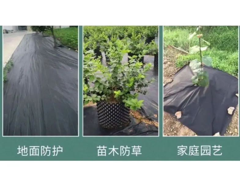 普通款 除草布 2米*50米 抑草蓆 物理性防雜草(抑草) 透水黑布 刈草蓆 園藝地布 透水防草布 果樹果園防草(可不使用農藥):圖片 8