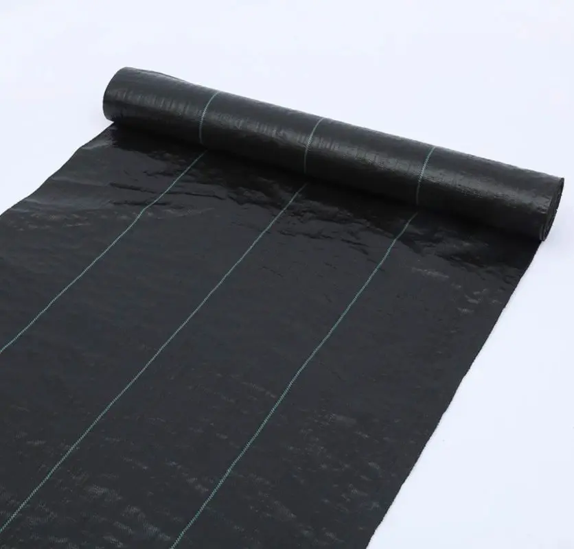 普通款 除草布 2米*50米 抑草蓆 物理性防雜草(抑草) 透水黑布 刈草蓆 園藝地布 透水防草布 果樹果園防草(可不使用農藥):圖片 4